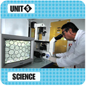 Unit 5
